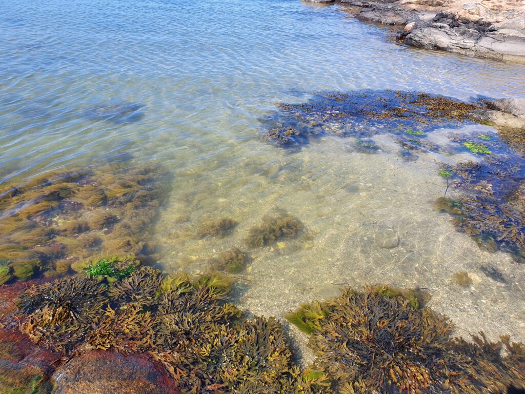 Sandbotten vid Galterö, Göteborg