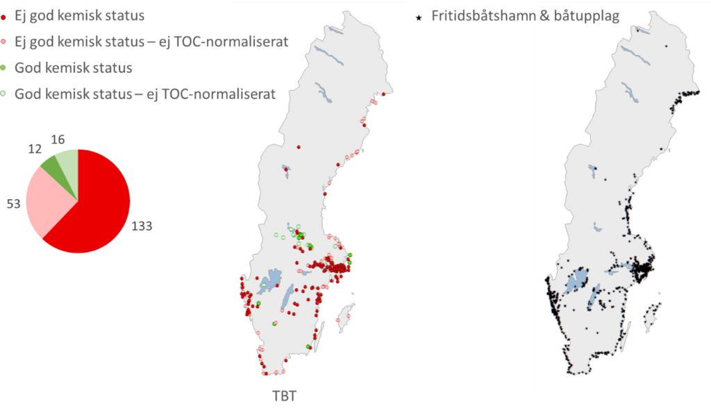 Beskriver förekomst av tennorganiska föreningar i svenska vatten