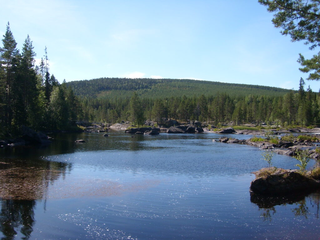 Älv och skog vid Mårseleforsen