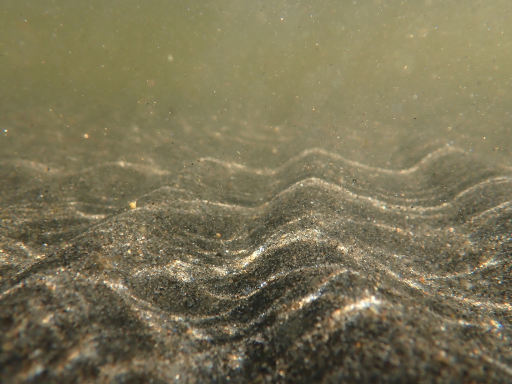 Havsbotten med sand, undervattensfoto.