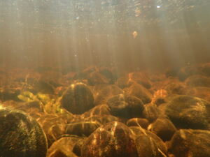 Älvbotten med mestadels sten, undervattensfoto